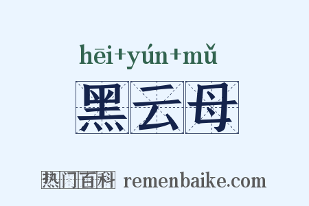 黑云母是什么意思的图片